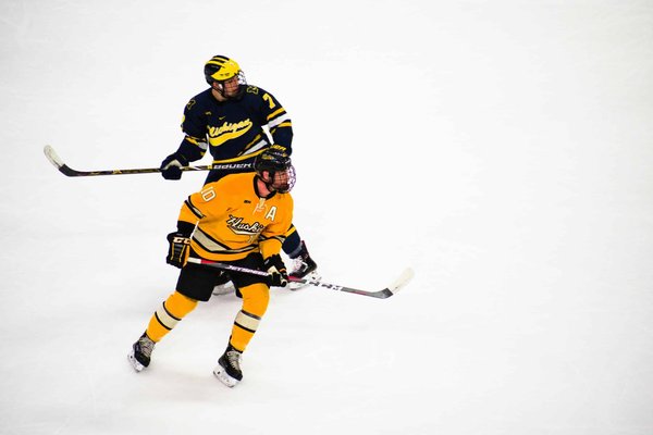 What Nutritional Interventions Can Aid Recovery in Ice Hockey Players?